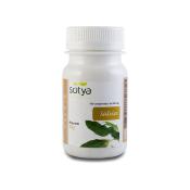 Salvia 500 mg, 100 comp